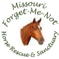 MOFORGETMENOTHORSES(@MFMNHR) 's Twitter Profile Photo