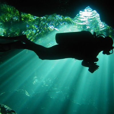 vicm_reyes's profile picture. Oceano