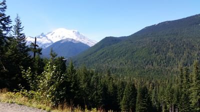 Maxim6781's profile picture. 