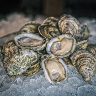 A new approach to the Chesapeake oyster. VA's Big Water Oyster Farm.