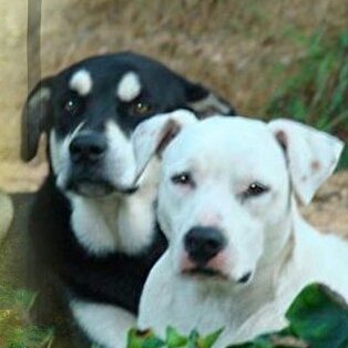 Rhkirkland2's profile picture. Truth is....everybody is gonna hurt you. You just have to find the ones worth suffering for. - Bob Marley