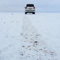 بندر أبو ياسر الشراري (@bandar0758) 's Twitter Profile Photo