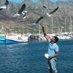 Alan (@alan85ist) Twitter profile photo Alan (@alan85ist) Twitter profile photo