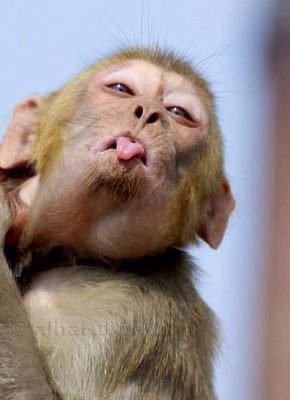 EMPIRE_ABUJA's profile picture. iSmile, iLove, iPray, iLive