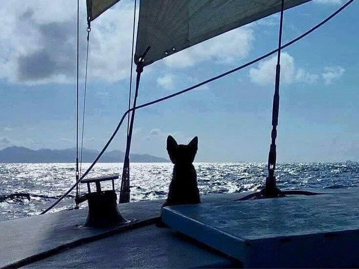 misussss's profile picture. Жизнь - канитель...