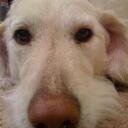 Jon Lewin - @siouxprint1370 - Twitter