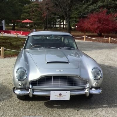D.Treさんのプロフィール画像