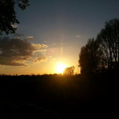 Bjoern3007's profile picture. Informatiker