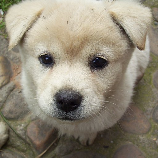 jonytie's profile picture. 80后 伪宅