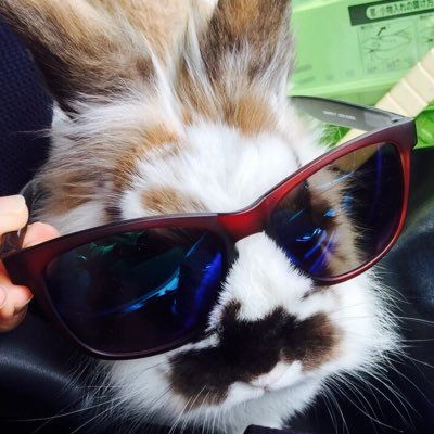 Moco様 MOKEO (@Mokezo_yh) / X