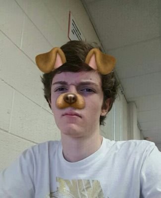 viintec's profile picture. 