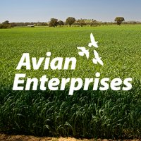 Avian Enterprises (@avian_control) 's Twitter Profile