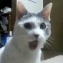 Nathan Cameron - @NathanCameronRT - Twitter