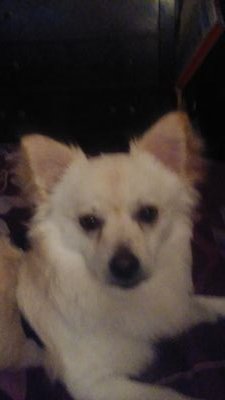 PeaceMakeR041Da's profile picture. Hi! My NAME IS.....