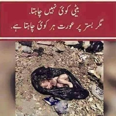 Alikhaloon52's profile picture. ali Abbas