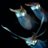 PhysicsSprit's profile image