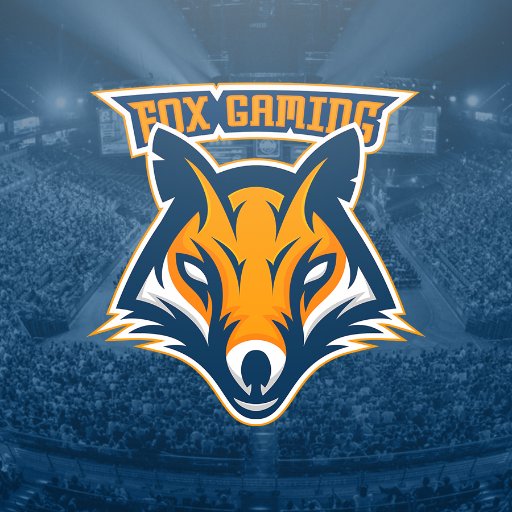 German Multi Gaming eSport Organisation | #FoXFamily #FoXTactics | Officially partnered with @Ravengg & @roxxgames | ✉️: business@fox-gaming.com