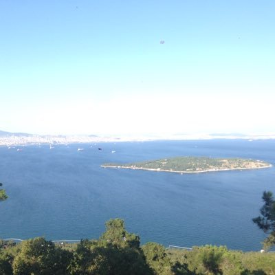 wolvorine33's profile picture. 