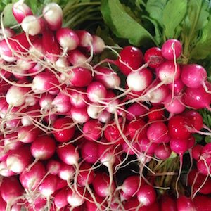We are a year-round Farmers Market, located on the Mount Hope Farm, a 127 acre national historic site in Bristol RI. Every Saturday, rain or shine, 9am-1pm!