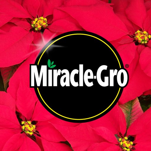 ¡Con Miracle Gro tus plantas crecen el doble!