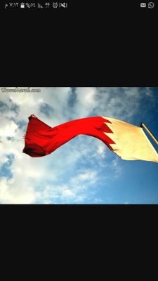 33_asfoora's profile picture. 