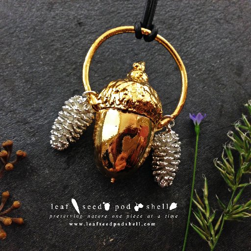 leafseedpodshel's profile picture. 