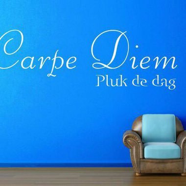 PLiebens's profile picture. 