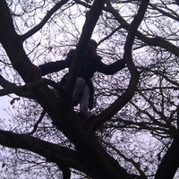 Jessica Harding (@jetsipha) 's Twitter Profile Photo