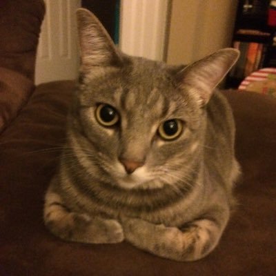 lori_reetz's profile picture. Hi! 😊