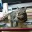 (ФωФ)猫の顔文字の人のアイコン