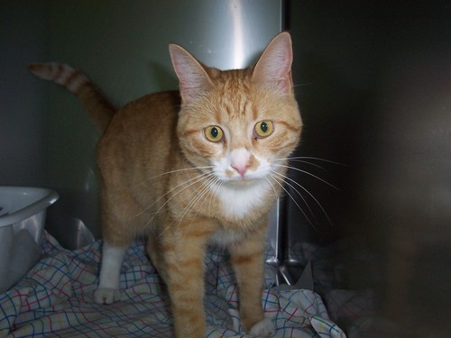 starree744's profile picture. 