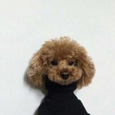 dさんのプロフィール画像
