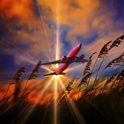 maycolyescuela's profile picture. Full internet