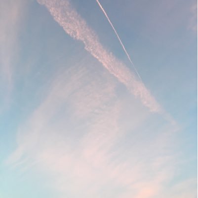 wrangs_thelab's profile picture. I like litterateur and posting pics of nature