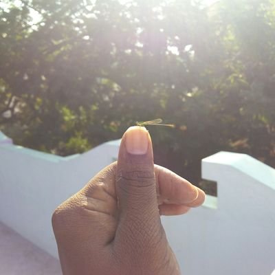 mallikaruna1's profile picture. 