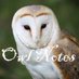 Letters By Owl (@rpowlnotes) Twitter profile photo Letters By Owl (@rpowlnotes) Twitter profile photo