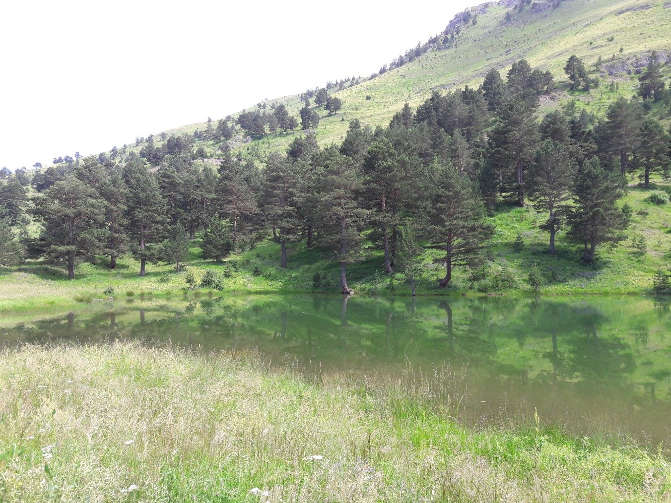 bm_tuning's profile picture. 