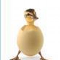 snow beer (@snowbeer) 's Twitter Profile