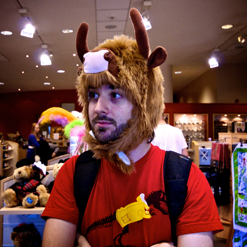 lonelycoo's profile picture. Lover of fine cheeses, cats and dinosaurs
🦖 LVL 40 - Currently Under Construction 🦕