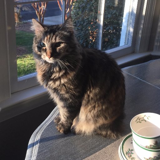 This Is Exhausting Profile