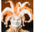 jestercap72's profile image