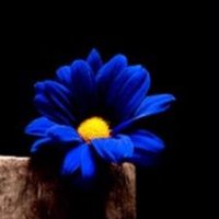 @$@ (@faia_al) 's Twitter Profile