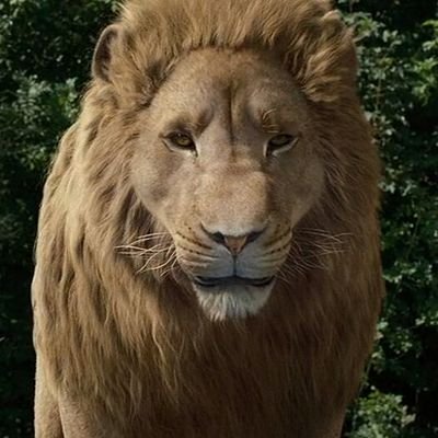 MohammedHyderA9's profile picture. playing football like messi