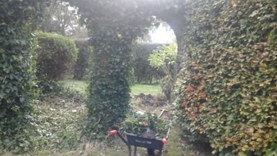 GARYS GARDEN SERVICES services include lawnmowing,hedge cutting, planting and design,weed control,rockeries herb gardens fruit and veg garden,baskets and pots