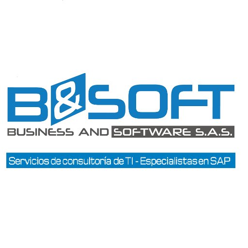 Servicios de consultoría en el área de TI, especialistas en SAP. 
Geraldine Bruges - Gerente general