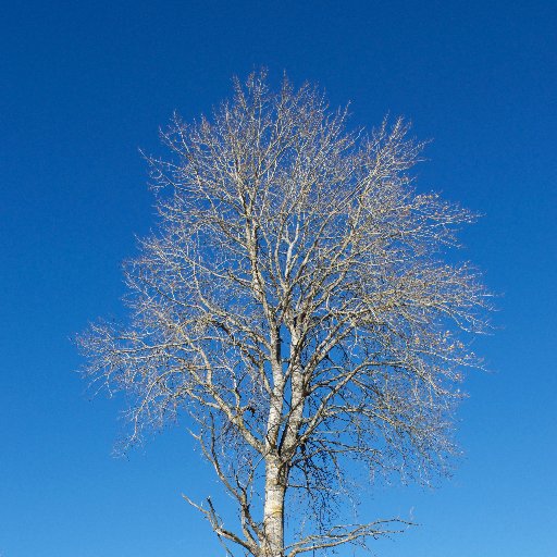 jonha892's profile picture. 