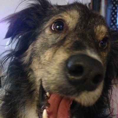 MutterNutt Profile Picture