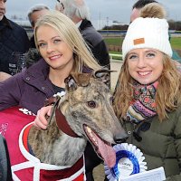 LiviNoble (@livi_noble) 's Twitter Profile Photo