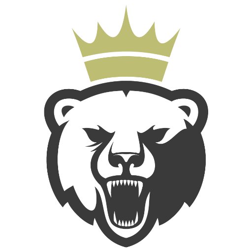 ProgrammerBear's profile picture. softwere engineer , brother, friend, all around cool dude