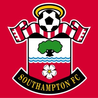 Southampton FC season ticket holder